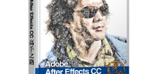 Adobe After Effects CC 高手之路[pdf txt epub azw3 mobi]