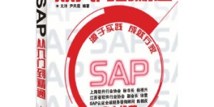 SAP从入门到精通[pdf txt epub azw3 mobi]