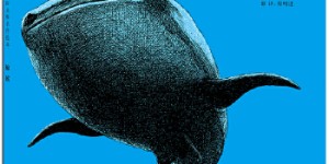 鲸鲨[pdf txt epub azw3 mobi]
