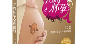 40周怀孕全程指导[pdf txt epub azw3 mobi]