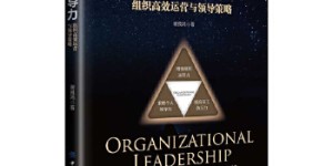 组织领导力：组织高效运营与领导策略[pdf txt epub azw3 mobi]