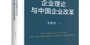企业理论与中国企业改革[pdf txt epub azw3 mobi]