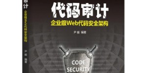 代码审计：企业级Web代码安全架构[pdf txt epub azw3 mobi]